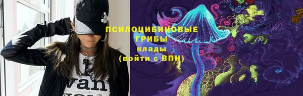 шишки Алзамай