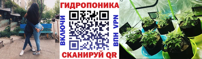 Бошки Шишки семена  Бежецк 